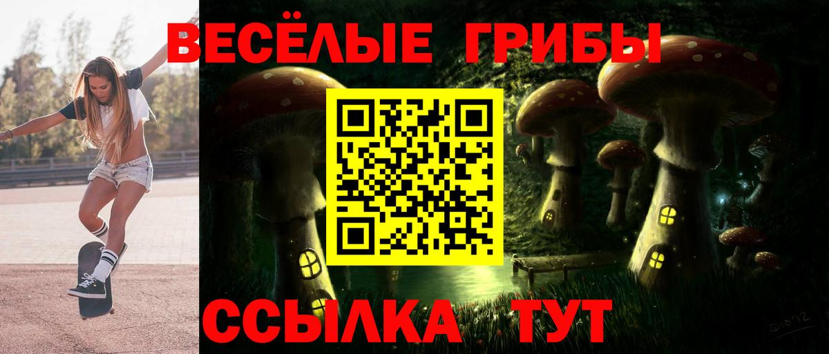 Галлюциногенные грибы мицелий Кингисепп