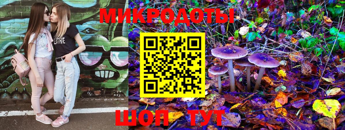 Галлюциногенные грибы Magic Shrooms  Кингисепп  Псилоцибиновые грибы мицелий 