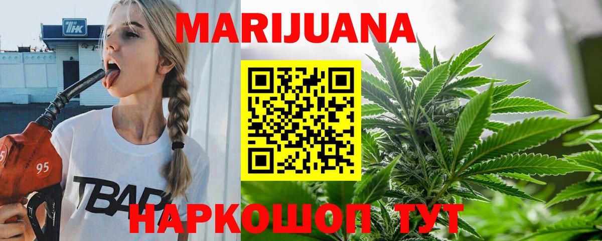 Каннабис конопля Кингисепп